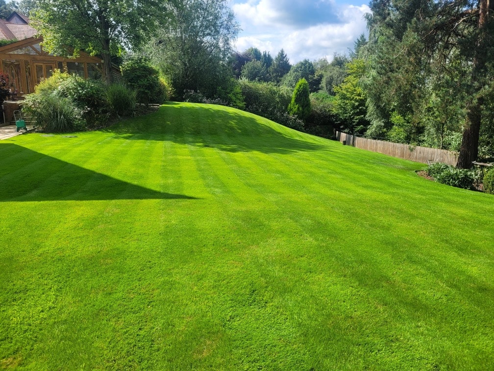 A freshly looking lawn free of moss after treatments
