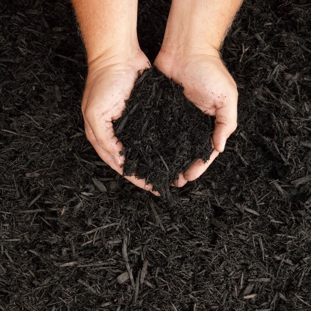 Multi Purpose Organic Compost My Lawn