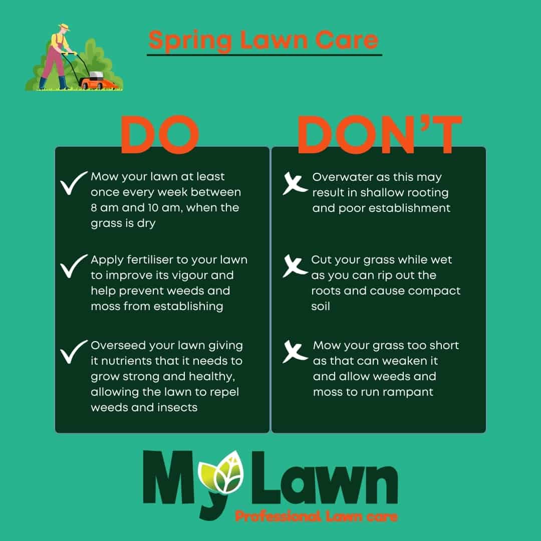 Spring Lawn Care Do and Don't infografic