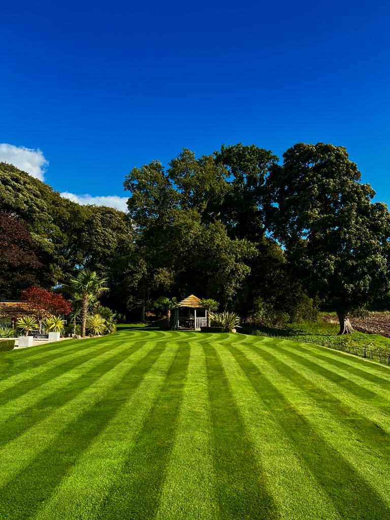 Summer lawn care tips for healthy grass during hot weather